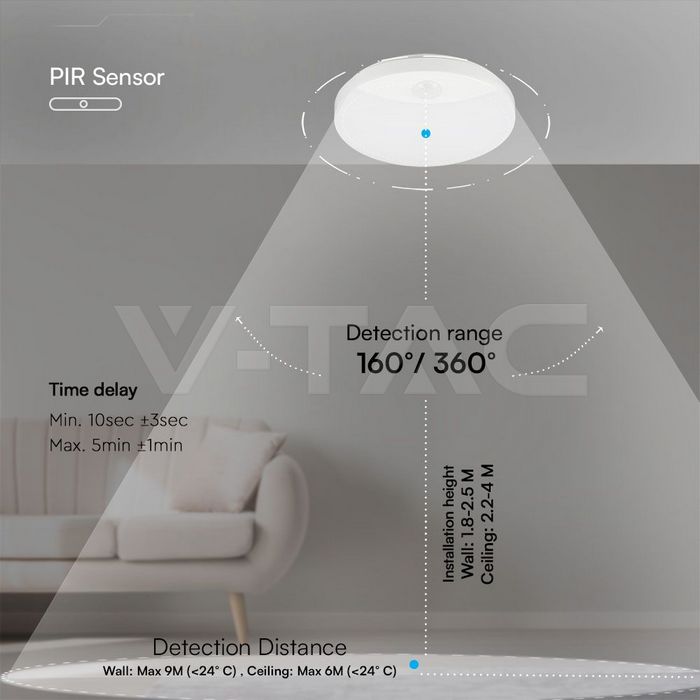 234206-6